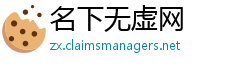 名下无虚网